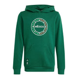 2023 Mexico Youth Hoodie