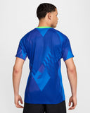 2025/26 NIKE Brazil (Women’s Team) Men’s Stadium Away Jersey - FZ9021 458