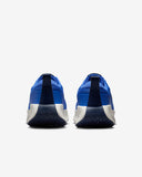 NIKE Promina Men's Walking Shoes - FV5285 401