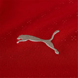 2025/26 PUMA Portugal Men’s Replica Home Jersey - 779190 01
