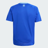 AFA AWAY JSY YOUTH BLUE IP8385