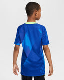 2025 NIKE Brazil (Women's Team) Youth Stadium Away Jersey - FZ9195 458