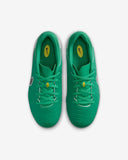 NIKE Jr Tiempo Legend 10 Academy FG/MG Cleats - HJ7190 300