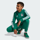 ADIDAS 2026 Mexico Youth DNA Hoodie - JZ6480
