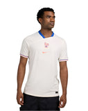 FRANCE 2025 MEN NIKE DF STADIUM JSY SS AWAY FZ9023 110